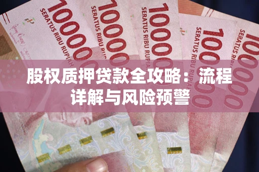 北京股权质押贷款全攻略：流程详解与风险预警
