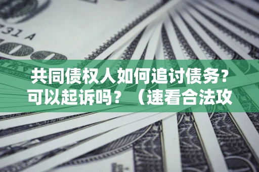 北京共同债权人如何追讨债务？可以起诉吗？（速看合法攻略）